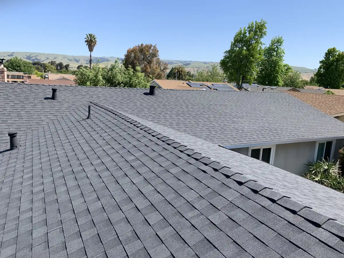 New light gray shingle roof with a stone-coated vent on the ridge, East Bay hills and a palm in the background